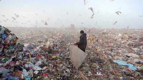 A worker at a landfill oversees the unloading of garbage at a landfill. Stock Footage 229760709