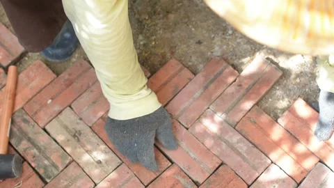 Worker laying red brick  pathway around the house Stock Footage 255349975