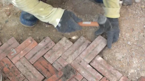 Worker laying red brick  pathway around the house Stock Footage 255349998