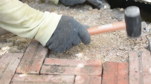 Worker laying red brick  pathway around the house Stock Footage 255350004