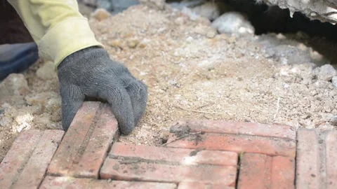Worker laying red brick  pathway around the house Stock Footage 255350006