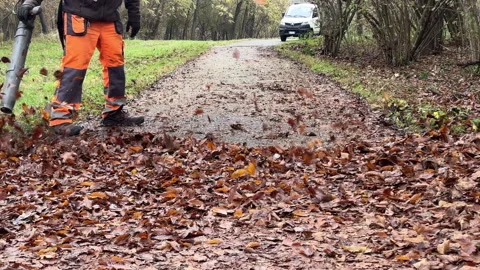 A worker with leaf blower cleans up autumn leaves to clear the cycle path. Stock Footage 292816896