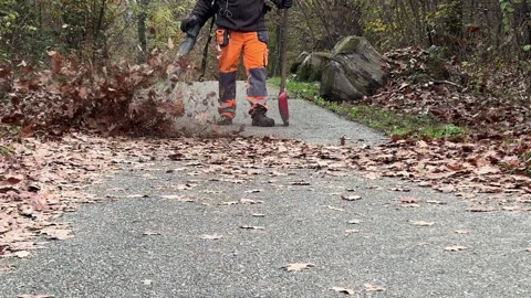 A worker with leaf blower cleans up autumn leaves to clear the cycle path. Stock Footage 293556798