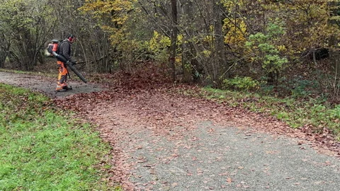 A worker with leaf blower cleans up autumn leaves to clear the cycle path. Stock Footage 294240832