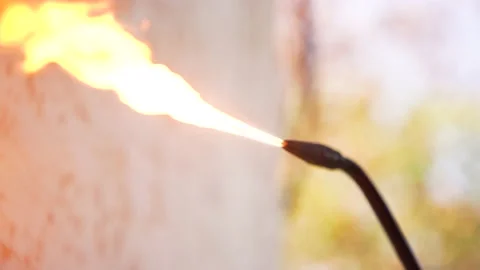 Worker lighting up a tourch 스톡 동영상 171659980