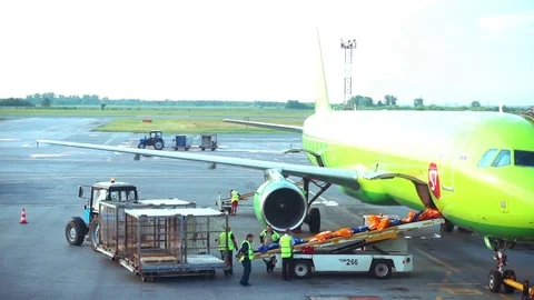 Worker Load Luggage On The Plane Stock Footage 80546519