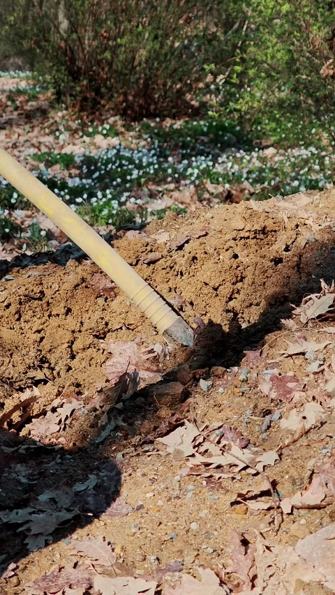 Worker loading dirt into a wheelbarrow with a shovel in the garden. Outdoor Stock Footage 332178193