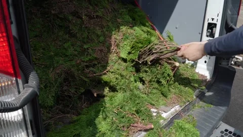 Worker Loading Garden Weeds and Greenery into Van for Composting Vídeo Stock 339110533
