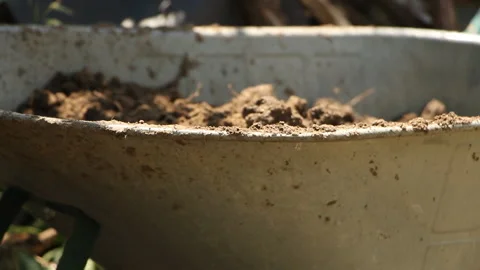 A worker loads soil into a wheelbarrow for transportation to another location Stock Footage 265199376