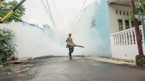A worker male using fogging machine to eliminate mosquito larvae in the morning Stock Photos