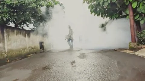 A worker male using fogging machine to eliminate mosquito larvae in the morning Stock Photos