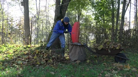 Worker man load bag on barrow with autumn leaves garden. 4K Stock Footage 65069802