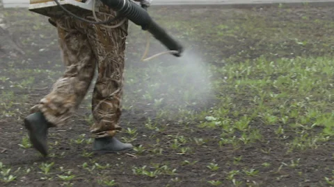Worker-man processes a park against harvest mite and parasites. Video stock 100588011