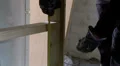 Worker measuring height of wood HD Footage