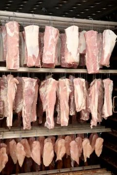 A worker at the meat processing factory, prepares sausages at the work table Stock Photos