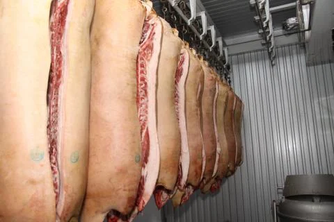 A worker at the meat processing factory, prepares sausages at the work table Stock Photos