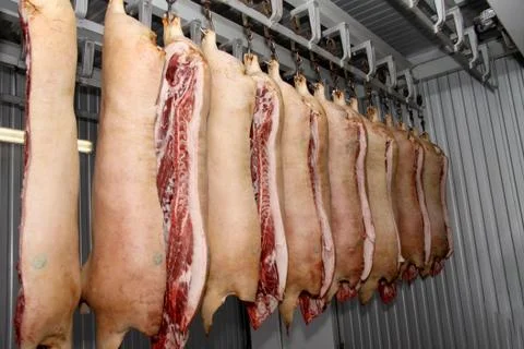 A worker at the meat processing factory, prepares sausages at the work table Stock Photos