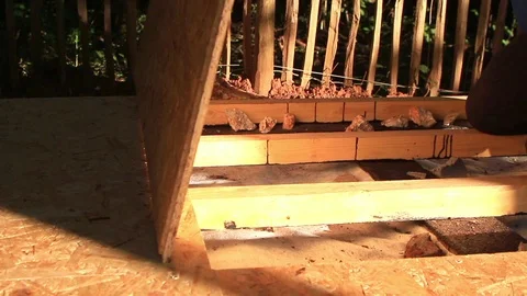 Worker mounting down wood flooring boards together in his garden. Stock Footage 112031288