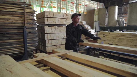 Worker Moves Timber Board On Reels And Pushes At Wood Production Factory Stock Footage 248557983