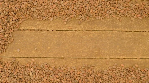 Worker moving cocoa beans for proper drying in ecuador top view detail shot Video stock 116207999