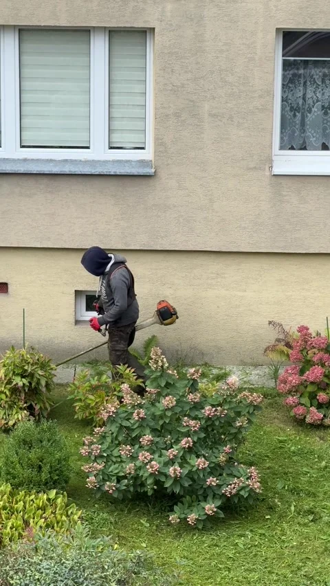 Worker mowing grass with gasoline trimmer in residential backyard garden during Stock Footage 318454614