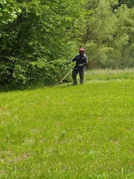 A worker is mowing the grass Foto stock