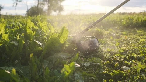 Worker mowing grass trimmer. Slow motion. Sunset with sunbeams. Stock Footage 112196521