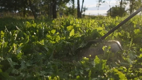 Worker mowing grass trimmer. Slow motion. Sunset with sunbeams. Stock Footage 112196658