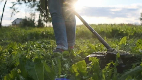 Worker mowing grass trimmer. Slow motion. Sunset with sunbeams. Stock Footage 112196893