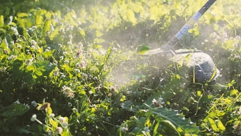Worker mowing grass trimmer. Slow motion. Sunset with sunbeams. Stock Footage 120731145