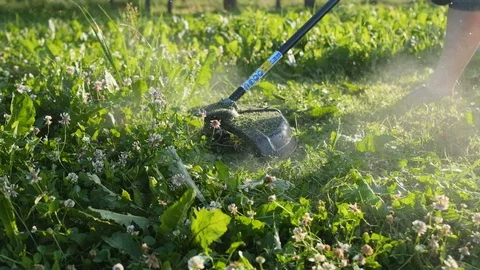 Worker mowing grass trimmer. Slow motion. Sunset with sunbeams. Stock Footage 120731162