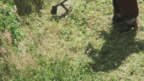 Worker Mowing Grass with Trimmer in Summer Video stock 337411621