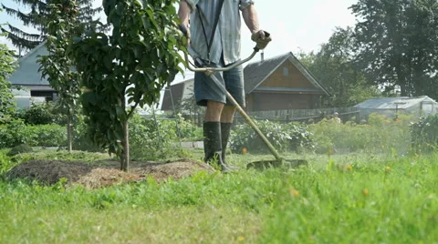 Worker mowing a grass using trimmer outdoors Stock Footage 66839880