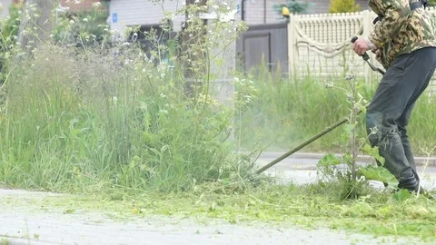 Worker mowing a grass using a trimmer outdoors Stock Footage 77363985