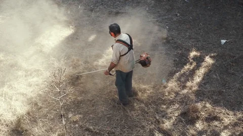 The worker mowing a grass using a trimmer outdoors. Video stock 87247990