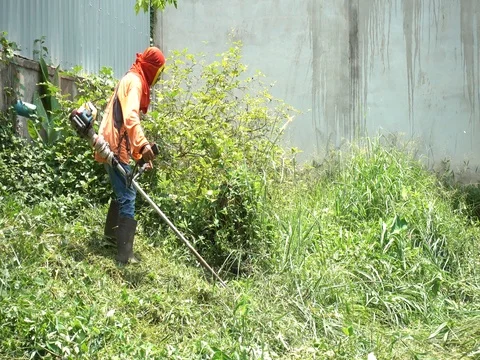 Worker mowing the grass.Worker cutting grass in garden. 库存影片 77701331