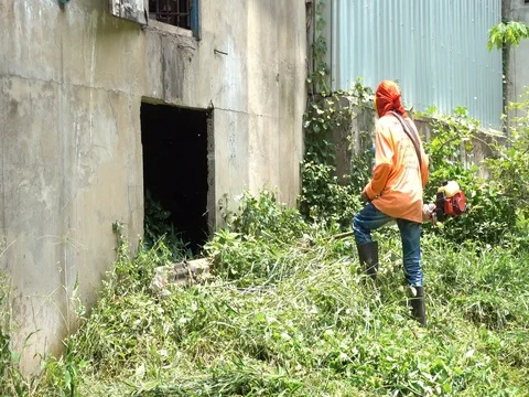 Worker mowing the grass.Worker cutting grass in garden. 库存影片 77701475