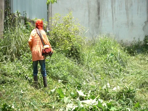 Worker mowing the grass.Worker cutting grass in garden. 库存影片 77701487