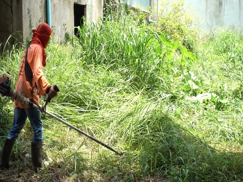 Worker mowing the grass.Worker cutting grass in garden. 库存影片 77701561