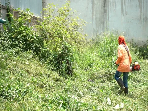 Worker mowing the grass.Worker cutting grass in garden. 库存影片 77701563