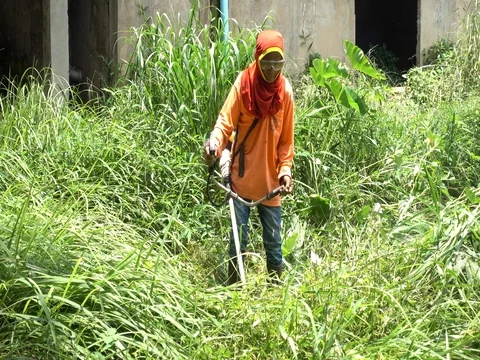 Worker mowing the grass.Worker cutting grass in garden. 库存影片 77701670