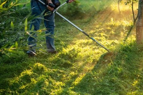 Worker mowing green grass with trimmer in bright evening sunlight Stock Photos
