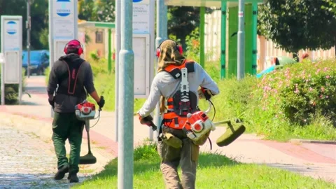 Worker Mowing Lawn With Garden Trimer, Man Mowing Grass On a City Street. Stock Footage 159751526
