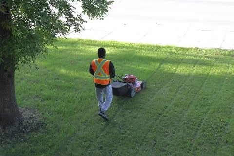 Worker mowing lawn with push mower Foto stock