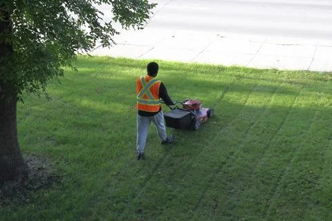 Worker mowing lawn with push mower 스톡 사진