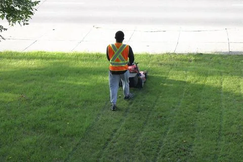 Worker mowing lawn with push mower Foto stock