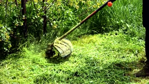 Worker mowing tall grass with electric lawn trimmer Stock Footage 154349967
