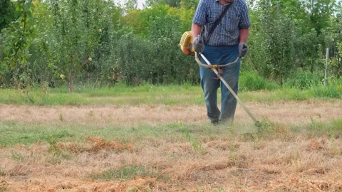 Worker mowing tall grass with electric or petrol lawn trimmer. Gardening care Stock Footage 248891722