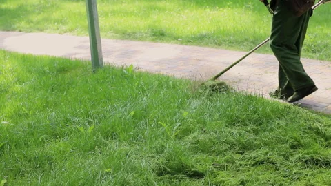 Worker mowing tall weed grass with electric or petrol lawn trimmer in city park Stock Footage 116487922
