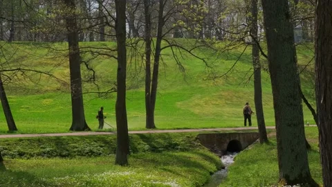 A worker mows the grass on the lawn Stock Footage 154653804